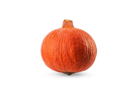 Pumpkin isolated on white backgroundの写真素材