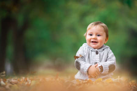 Cute little baby boy play in autumn park with fallen leavesの写真素材