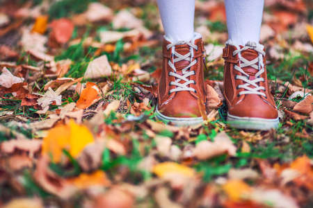 Child legs in boots on background of a golden maple leavesの写真素材
