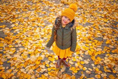 Child legs in boots on background of a golden maple leavesの写真素材