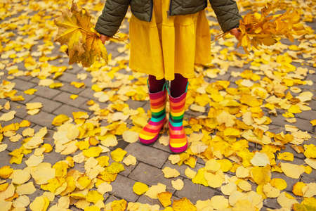 Child legs in boots on background of a golden maple leavesの写真素材