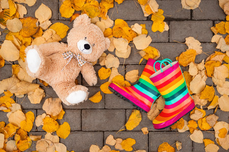 Autumn leaves, colorful rubber rain boots and teddy bear on city parkの写真素材