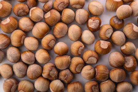 Hazelnuts isolated on white backgroundの写真素材
