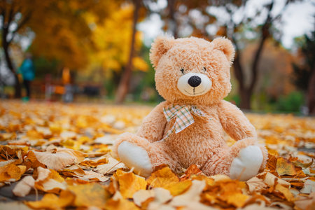 Teddy bear baby toy sitting in fallen colorful leaves outdoor. Autumn park.の写真素材
