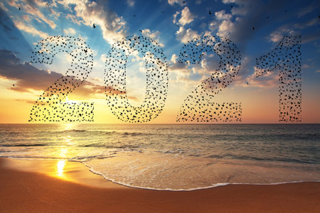 2021 Happy new year concept. Silhouetteof  flying birds at sunset skyの写真素材