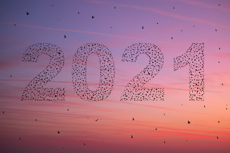 2021 Happy new year concept. Silhouetteof  flying birds at sunset sky