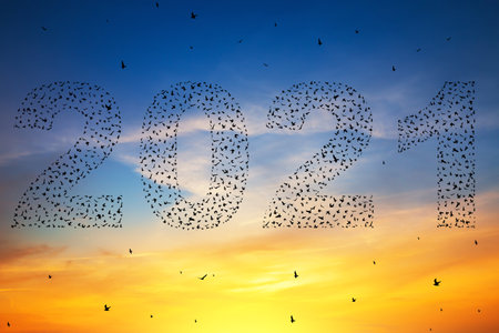 2021 Happy new year concept. Silhouetteof  flying birds at sunset skyの写真素材