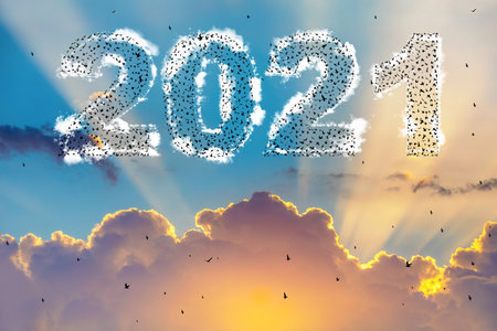 2021 Happy new year concept. Silhouetteof  flying birds at sunset skyの写真素材