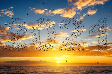 Silhouette of  flying birds at sunset sky with 2021の写真素材