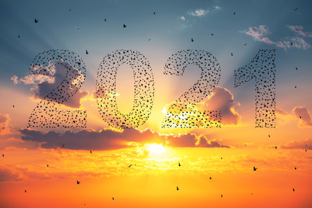 Silhouette of  flying birds at sunset sky with 2021の写真素材