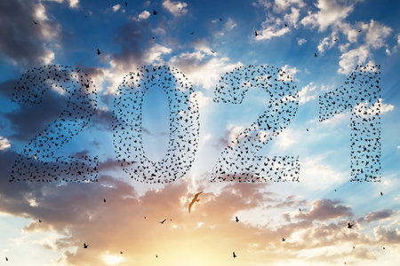 Silhouette of  flying birds at sunset sky with 2021の写真素材