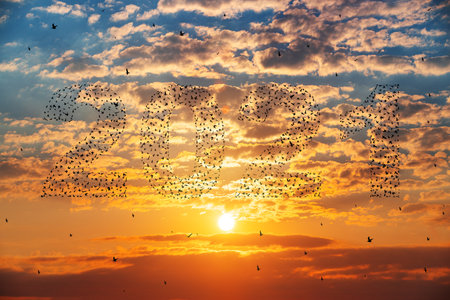 Silhouette of  flying birds at sunset sky with 2021の写真素材