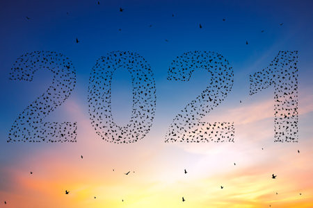 Silhouette of  flying birds at sunset sky with 2021の写真素材