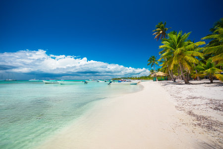 Tropical beach in Punta Cana, Dominican Republicの写真素材