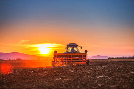 Farmer with tractor seeding crops at field on sunsetの写真素材