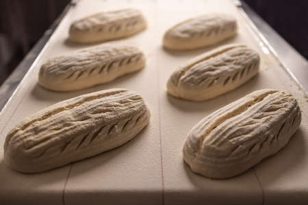 Raw bread. Fresh raw dough in product line