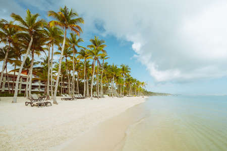 Vintage photo of Palmtree and tropical beachの写真素材