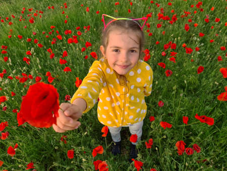 Little girl in a field of wild flowers. Meadow with poppy plants.の写真素材