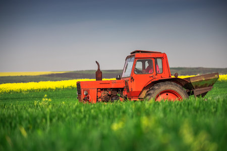 Tractor fertilizing wheat fieldの写真素材
