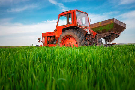 Tractor fertilizing wheat fieldの写真素材