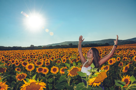 Beautiful girl in a field, holding small sunflowerの写真素材