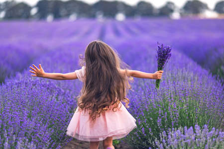 Happy little girl with dress enjoying lavender field with bouquet of flowersの写真素材