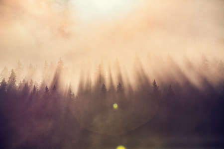 Morning fog on the lake, sunrise shotの写真素材