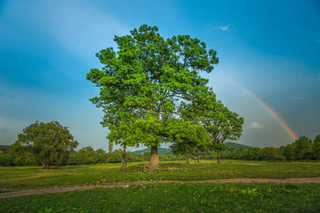 Rainbow over fields and trees on a farm on the edge of Lakeの写真素材
