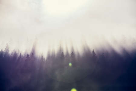 Morning fog on the lake, sunrise shotの写真素材
