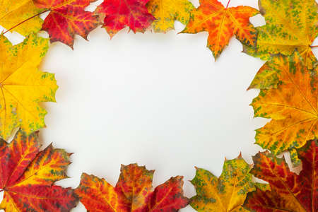 Autumn seasonal leaves with border frame and space for text, fall backgroundの写真素材