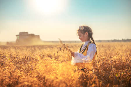 Young girl with traditional Bulgarian folklore costume at the agricultural wheat field during harvest time with industrial combine machineの写真素材