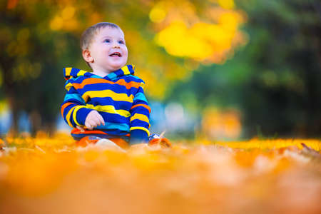 Cute little baby boy play in autumn park with fallen leavesの写真素材