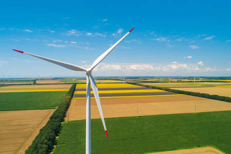 Blue sky and wheat field with wind turbines generating electricityの写真素材