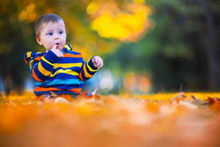 Cute little baby boy play in autumn park with fallen leavesの写真素材