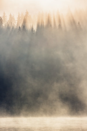 Morning fog on the lake, sunrise shotの写真素材