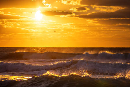 Golden splashing waves and sunrise sea