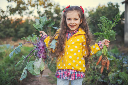 Little girl gardener in vegetables garden holding fresh biologic just harvested carrotsの写真素材