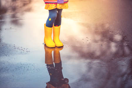 Little girl gardener in vegetables garden holding fresh biologic just harvested carrotsの写真素材