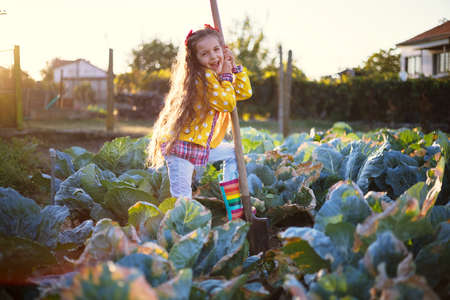 Little girl gardener in vegetables garden holding fresh biologic just harvested carrotsの写真素材