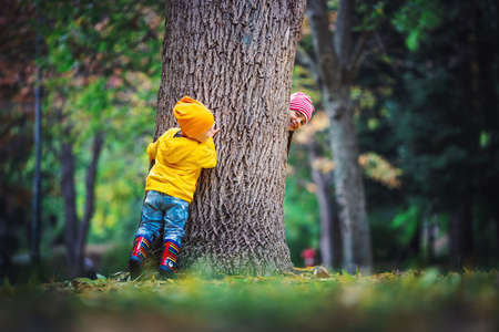 Brother and sister playing in the autumn tree gardenの写真素材