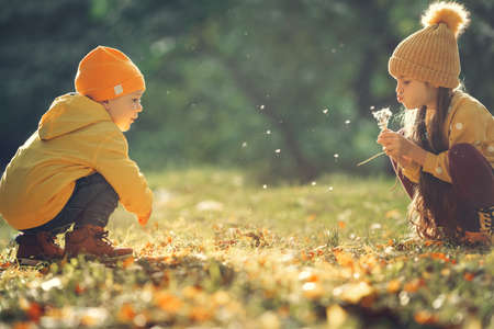 Happy children, brother and sister are sitting in the meadow of dandelionsの写真素材