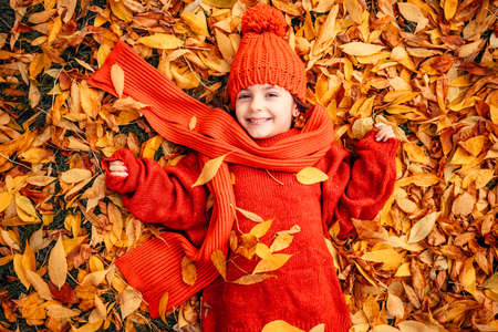 Little smiling girl playing with autumn leaves in a sunshine parkの写真素材
