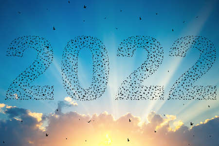 2022 Happy new year concept. Silhouetteof  flying birds at sunset skyの写真素材