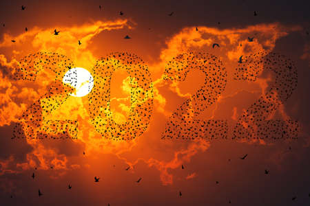 2022 Happy new year concept. Silhouetteof  flying birds at sunset skyの写真素材