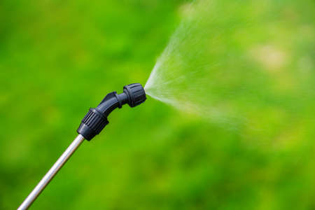 Farmer spraying vegetable green plants in the garden with herbicides, pesticides or insecticides.の写真素材