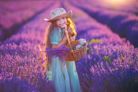 Happy little girl with dress enjoying lavender field with bouquet of flowersの写真素材