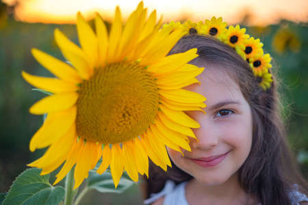 Girl and sunflowers in sunflower field during sunset. Agriculture, farming, childhood and carefree concept.の写真素材