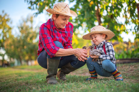 Baby boy farmer, little chicken in his hands and proud woman grandmother outdoor in farmland. Farm animals and happy family in the countryside.の写真素材