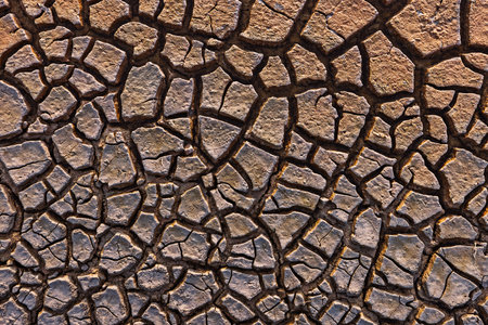 Cracked Earth Pattern Texture