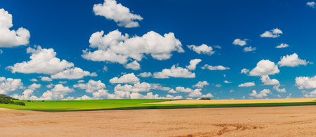 Green field and blue sky with cloudsの写真素材